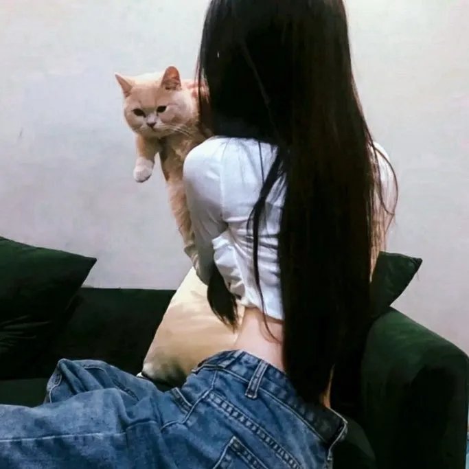 心动的颜执